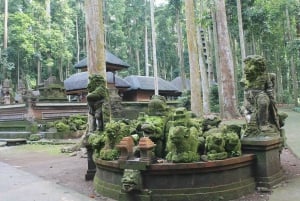 Bali: Tur til Tanah Lot, Jatiluwih terrasse og Ulundanu Beratan