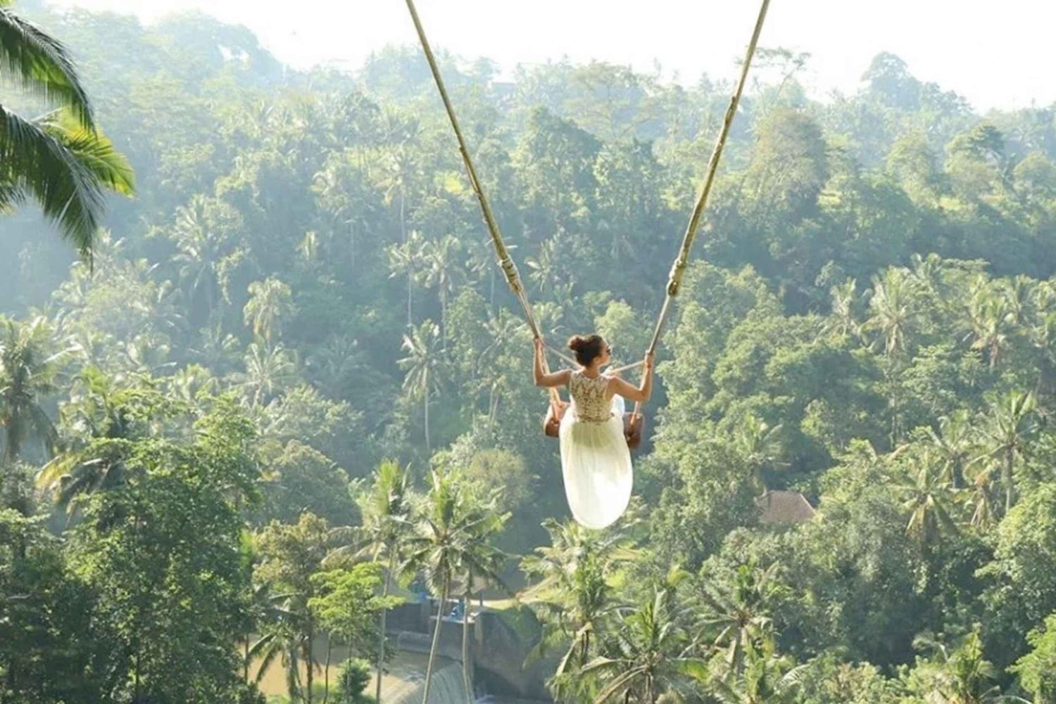 Canggu: Jungle Swing Experience with Hotel Pickup