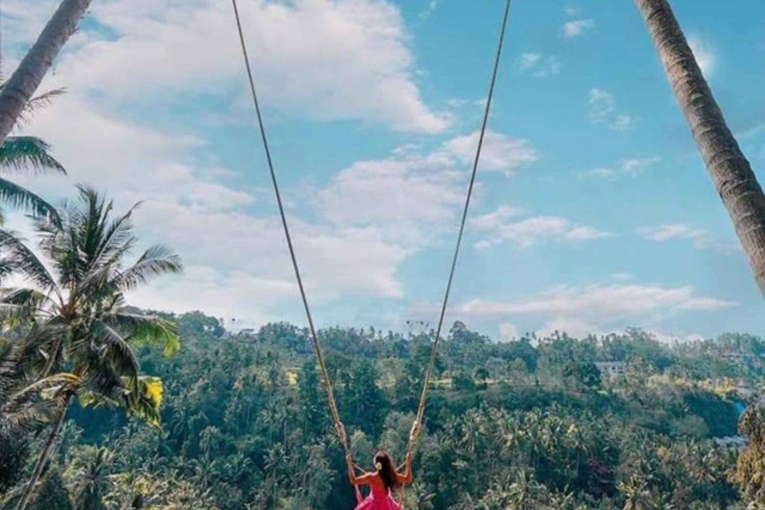 Canggu: Jungle Swing Experience with Hotel Pickup