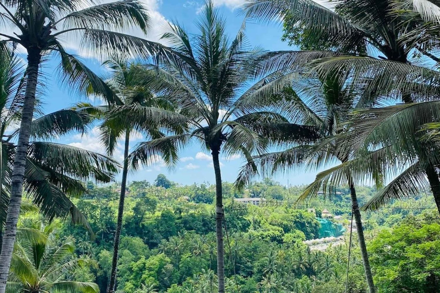 Canggu: Jungle Swing Experience with Hotel Pickup