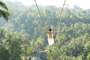 Canggu: Jungle Swing Experience with Hotel Pickup