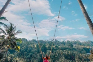 Canggu: Jungle Swing Experience with Hotel Pickup