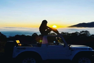 Canggu: prywatny wschód słońca na Baturze z transportem