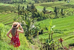 Hyrbil på Bali med engelsktalande förare