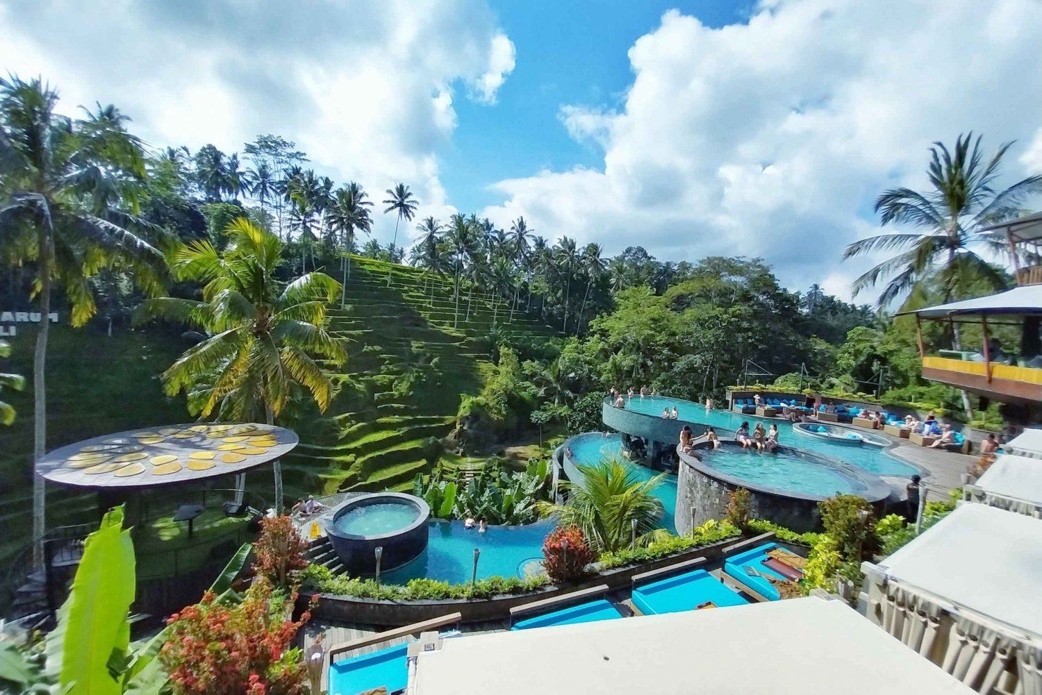 Bali: Prywatna jednodniowa wycieczka do wodospadu, wioski i klubu przy basenie w Ubud