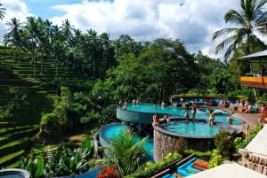 Bali: Escursione privata di un giorno alle cascate, al villaggio e al Pool Club di Ubud