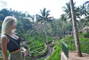 Bali: Escursione privata di un giorno alle cascate, al villaggio e al Pool Club di Ubud