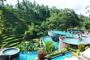 Bali: Privat dagsutflykt till vattenfall, by och poolklubb i Ubud