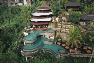Ubud: piscina infinita en Cretya, cascada escondida y templo del agua
