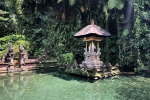 Ubud: piscina infinita en Cretya, cascada escondida y templo del agua