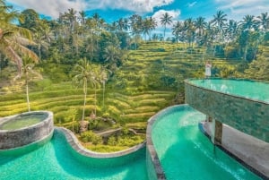 Ubud: piscina infinita en Cretya, cascada escondida y templo del agua