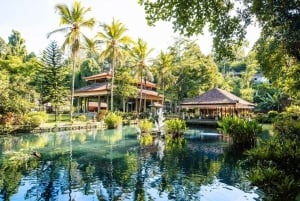 Ubud: piscina infinita en Cretya, cascada escondida y templo del agua