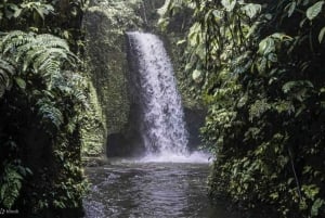Ubud: piscina infinita en Cretya, cascada escondida y templo del agua