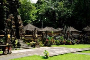 Ubud: piscina infinita en Cretya, cascada escondida y templo del agua