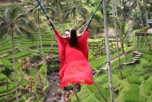 Ubud: piscina infinita en Cretya, cascada escondida y templo del agua