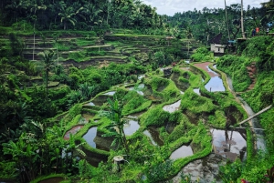 Custom Private Tour of Bali for 10 hours
