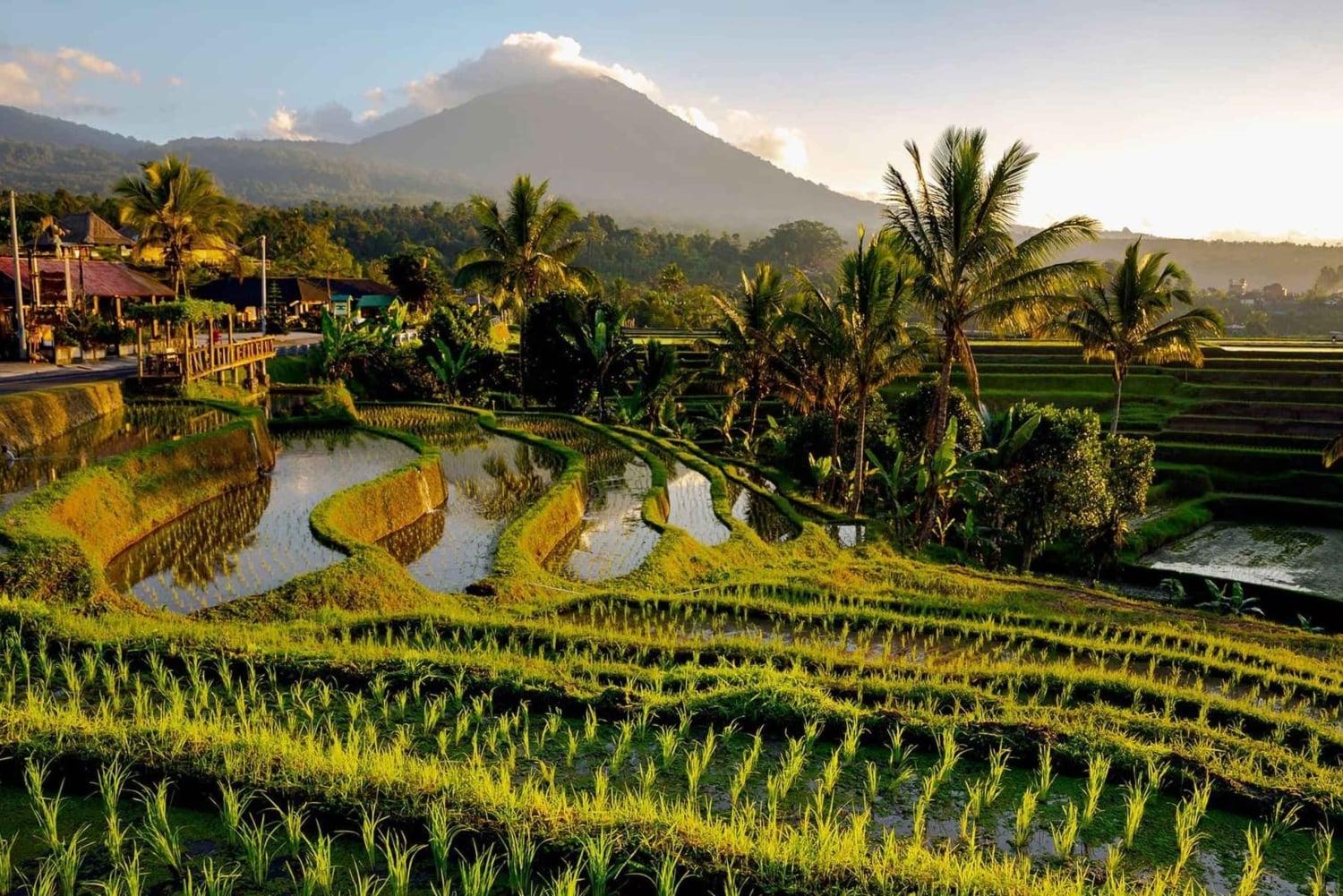 Custom Private Ubud Tour with Flexible Options & Tickets