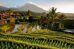 Custom Private Ubud Tour with Flexible Options & Tickets