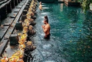 Custom Private Ubud Tour with Flexible Options & Tickets