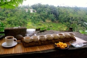 Custom Private Ubud Tour with Flexible Options & Tickets