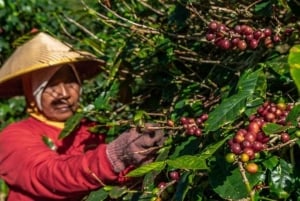 Custom Private Ubud Tour with Flexible Options & Tickets