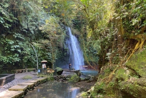 Custom Private Ubud Tour with Flexible Options & Tickets