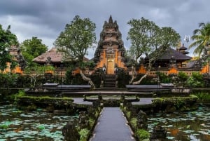 Custom Private Ubud Tour with Flexible Options & Tickets