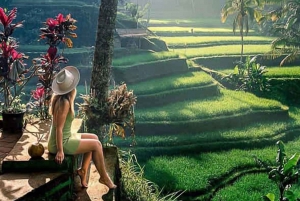Bali: Tour di un giorno a Ubud con altalena e zipline