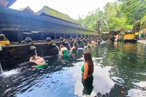 Bali: Tour di un giorno a Ubud con altalena e zipline
