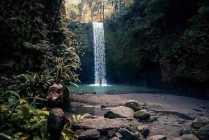 Bali: Tour di un giorno a Ubud con altalena e zipline