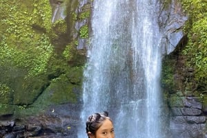 Nusa Penida: passeio de um dia de leste a oeste com transporte