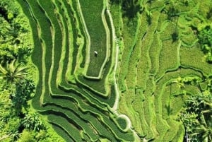 Nusa Penida: passeio de um dia de leste a oeste com transporte