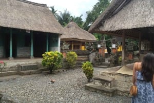 Nusa Penida: passeio de um dia de leste a oeste com transporte