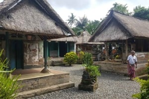 Nusa Penida: passeio de um dia de leste a oeste com transporte