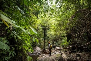 Denpasar: Tamata Adventure Canyoning