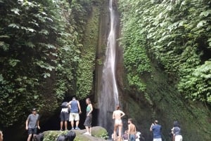 Descubre Bali en 3 días: cultura y paisajes