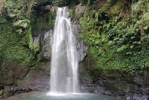 Descubre Bali en 3 días: cultura y paisajes