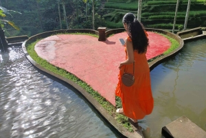 'Discover Bali in 3 Days: Culture & Scenery'