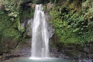 'Discover Bali in 3 Days: Culture & Scenery'