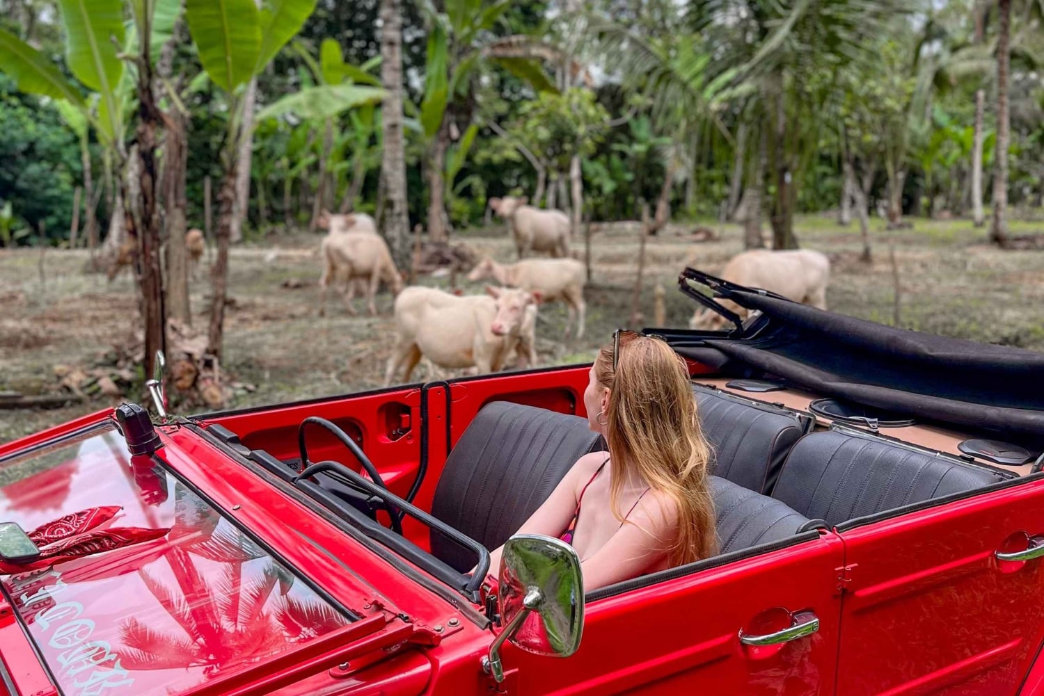 Discover Bali’s Roots in a Vintage VW