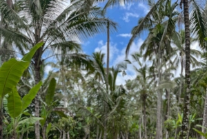 Discover Bali’s Roots in a Vintage VW