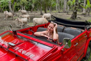Discover Bali’s Roots in a Vintage VW