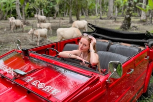 Discover Bali’s Roots in a Vintage VW