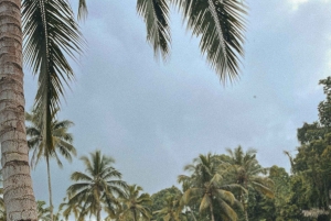 Discover Bali’s Roots in a Vintage VW