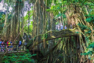 Ubud-rondleiding met optionele Engelstalige, Spaanstalige en Italiaanse gids