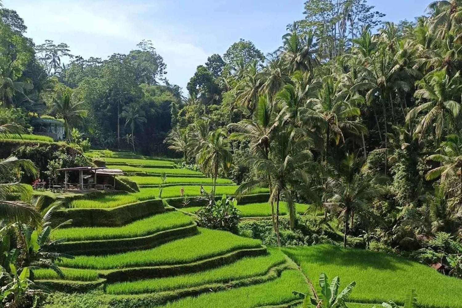 Upptäck det bästa av Ubud: privat dagstur med lokal guide
