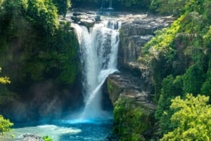 Upptäck det bästa av Ubud: privat dagstur med lokal guide