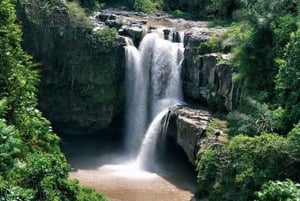 Upptäck det bästa av Ubud: privat dagstur med lokal guide