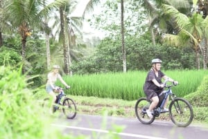 Sähköpyörä: Ubud Rice Terrace & Visit Local Temple Cycling Tour