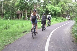 E-Bike: Passeio de bicicleta pelo terraço de arroz de Ubud e visita a templos locais